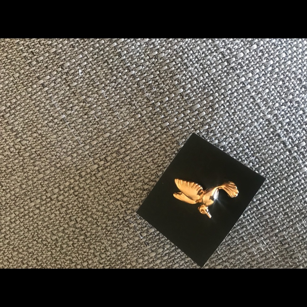 Hummingbird pin brooch